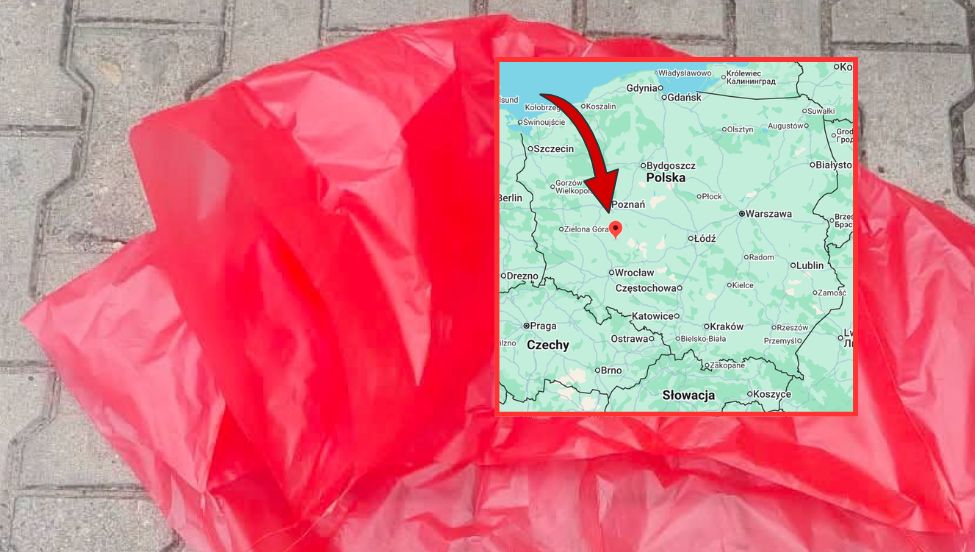 Tajemniczy obiekt na posesji w Rogożewie. Wezwano służby