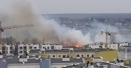 Lublin: Pożar traw na Felinie. Na miejscu siedem zastępów straży pożarnej