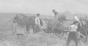 Krzyżówka historyczna. Co wiesz o pańszczyźnie?