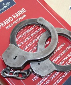 Legnica. Seryjny złodziej w rękach policji. Grozi mu 10 lat więzienia