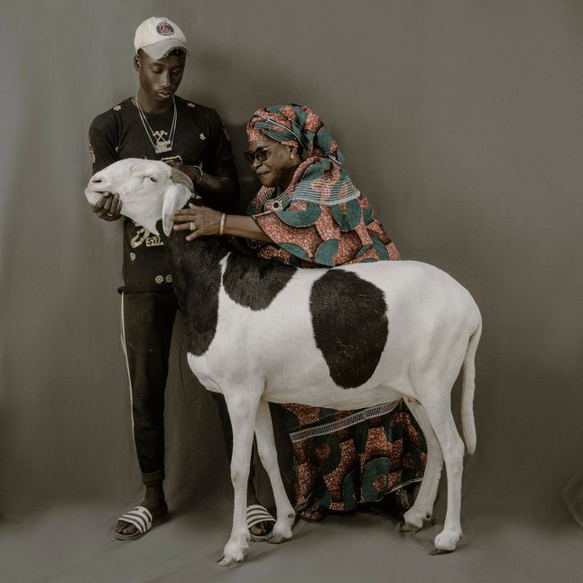 Fatoumata Doumbia i Ousseynou Koor pokazują Yaram Gueye, 32-miesięczną owcę ladoum ze stada Na-Fanta Diane.