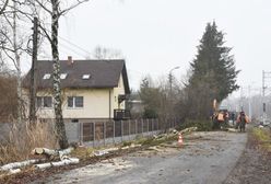 Sławków. Wycinka drzew, mieszkańcy protestują