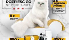 Nestlé Purina z loterią „Rozpieść go nie tylko smakiem”
