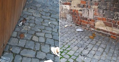 Śmierdzący problem na Starym Mieście. Brak całodobowej toalety, ludzie załatwiają się gdzie popadnie