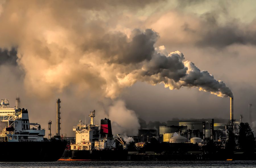 A team of researchers may have found the solution in the fight against pollution