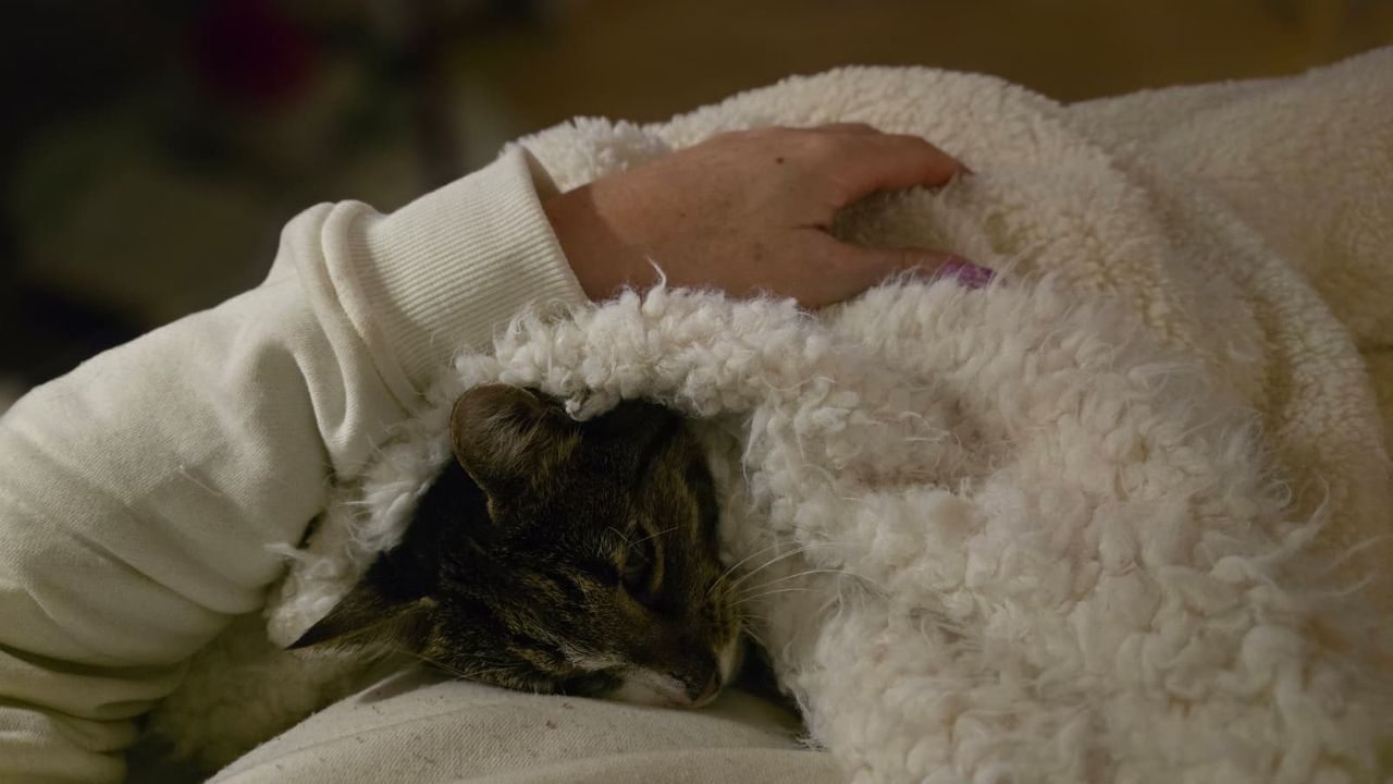 Kontakt i współpraca