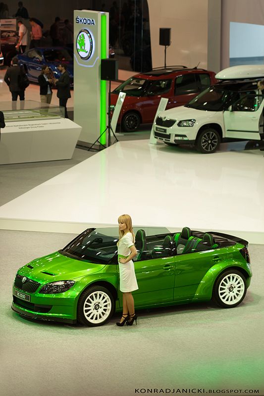 Poznań Motor Show 2014 4