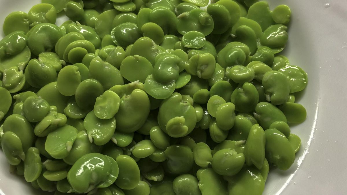 Niekwestionowany król strączków