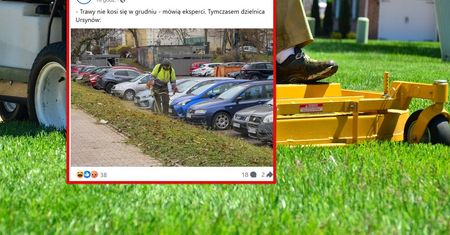 Nie patrzą w kalendarz. W stolicy cały czas koszą trawę