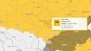 Płock: Ostrzeżenie pogodowe: silny wiatr uderzy w region. Porywy nawet do 85 km/h