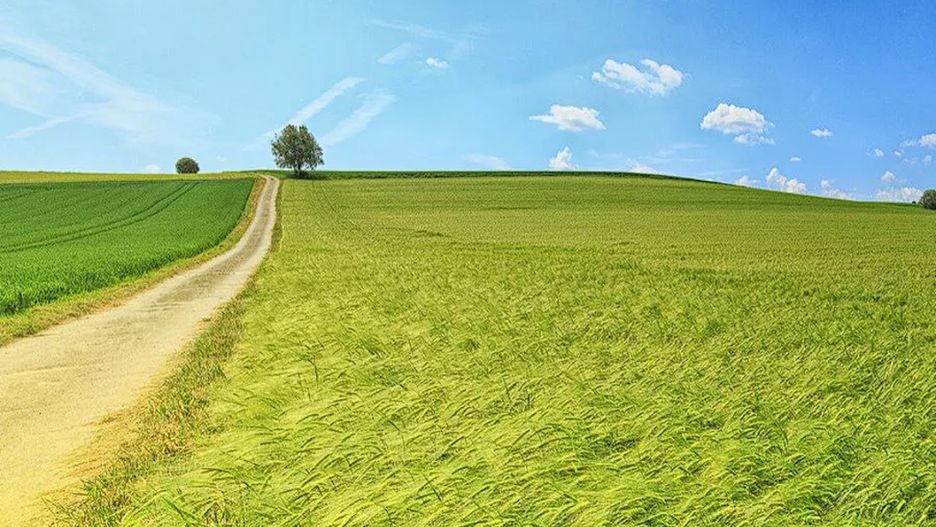 Naukowcy pracują nad inteligentną glebą