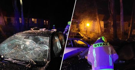 Połamane drzewa, zerwane dachy. Skutki wichury nad Polską