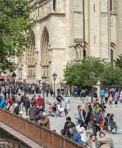 Zamieszanie wokół Notre Dame. Francuzi podzieleni