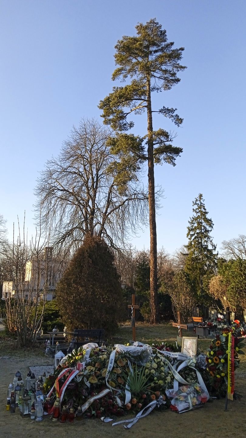 Grób Antoniego Gucwińskiego