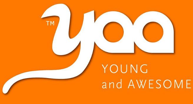 Young and Awesome dla PKP Intercity w social media