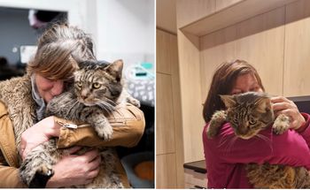 Spała z kotem na klatce schodowej. Są nowe informacje