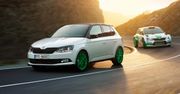 Rajdowa Fabia dla fanów marki. Będzie można ją kupić w salonie