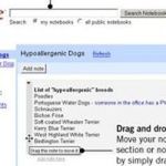 15 narzędzi od Google'a o których mogłeś nie wiedzieć 4