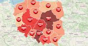 Koronawirus w Polsce. Mapa zakażeń pokazuje ponad 33 tys. chorych i kolejne ofiary śmiertelne