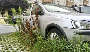 Rozpadają się i blokują miejsca. To plaga w polskich miastach