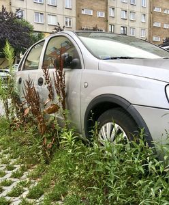 Rozpadają się i blokują miejsca. To plaga w polskich miastach