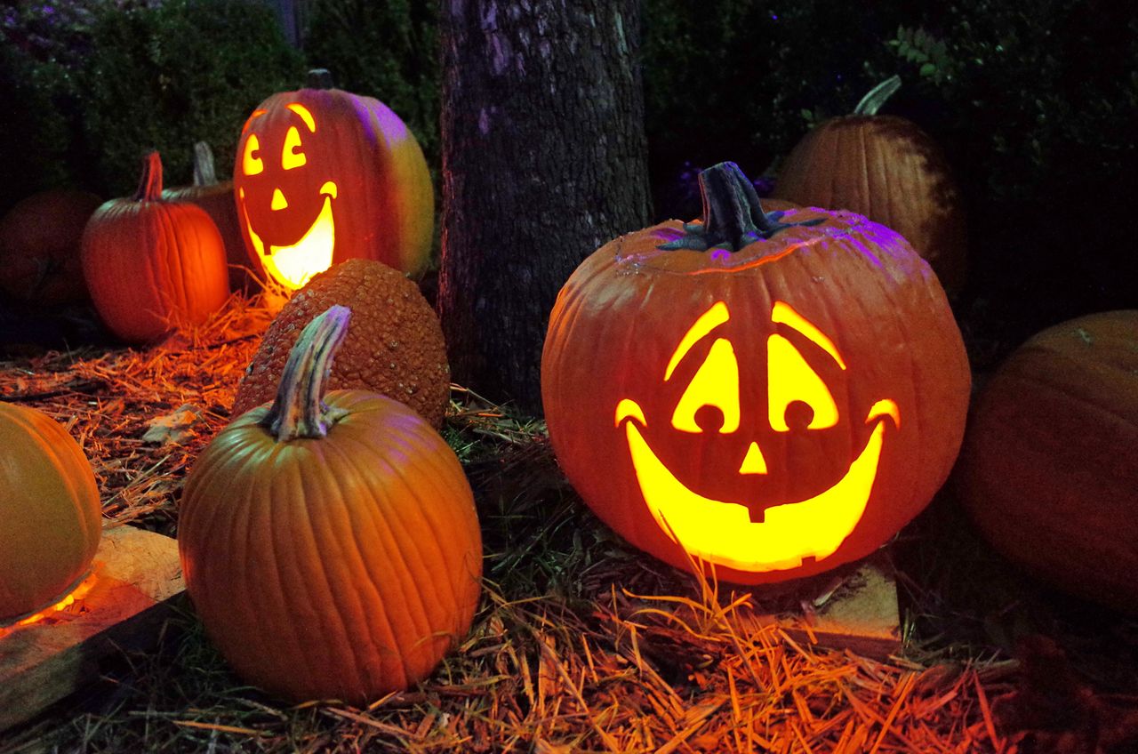 The priest destroyed pumpkins on Halloween. The matter is being written about all over the world