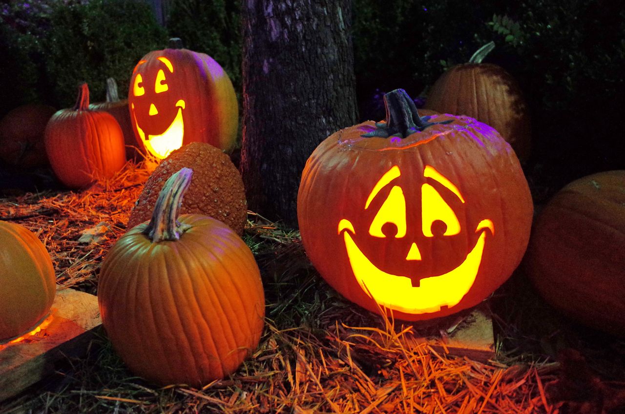 The priest destroyed pumpkins on Halloween. The matter is being written about all over the world