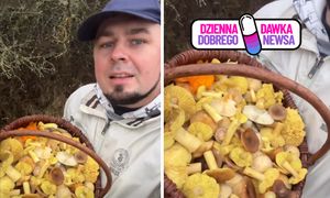 Koniec listopada. Wrócił do domu z pełnym koszem grzybów