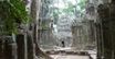 Ta Prohm - potęga przyrody