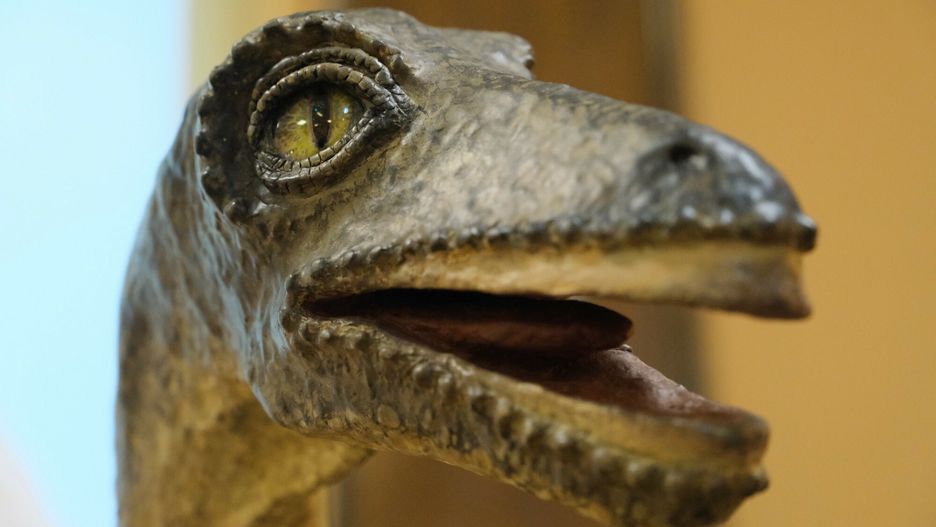 Wyginięcie dinozaurów. Najnowsze odkrycie naukowców z USA 