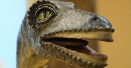 USA. Najnowsze odkrycie naukowców dotyczące wyginięcia dinozaurów. "Zagadka kompletna"