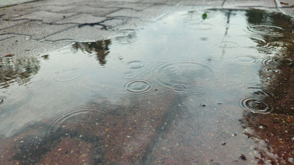 Kałuża i opady deszczu