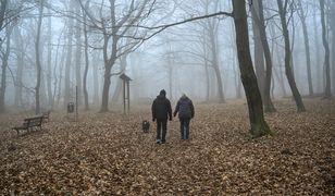 Żółte alerty w części kraju. Obowiązują przez cały poranek