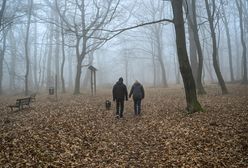Żółte alerty w części kraju. Obowiązują przez cały poranek