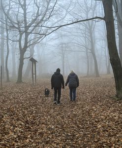 Żółte alerty w części kraju. Obowiązują przez cały poranek