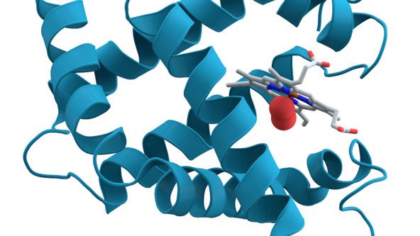 Uczeni twierdzą, że woda jednak nie jest niezbędna do życia 1