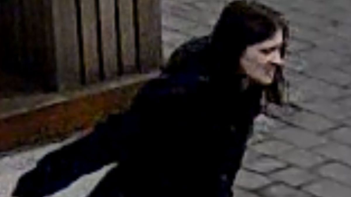 Sosnowiec: Policja szuka kobiety ze zdjęcia