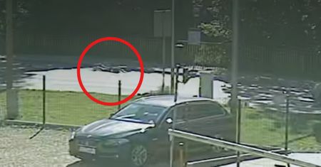 17-latka leżała na jezdni. Kamera uchwyciła zachowanie kierowców