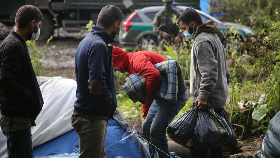 migranci