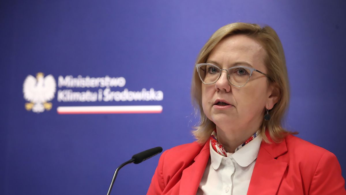 Minister klimatu i środowiska Anna Moskwa