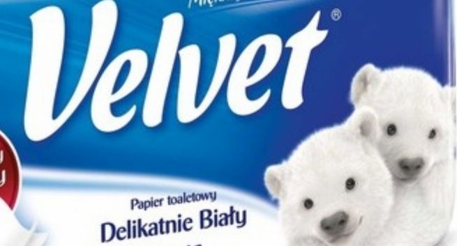 Niedźwiadek za labradora na opakowaniach i w reklamach marki Velvet