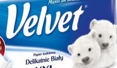 Niedźwiadek za labradora na opakowaniach i w reklamach marki Velvet