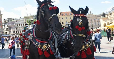 Kraków szokuje cenami. Chodzi o przejazd dorożką
