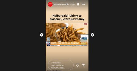Absurdalny materiał w "TV Republika". Mówią o "lewicowej modzie" na jedzenie robaków