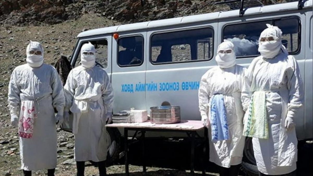 Nowe ognisko dżumy w Mongolii