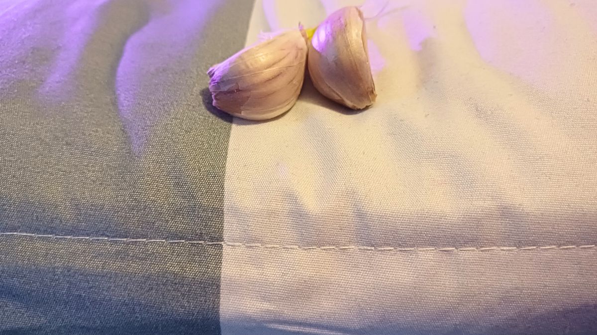 Dlaczego warto kłaść czosnek pod poduszką?