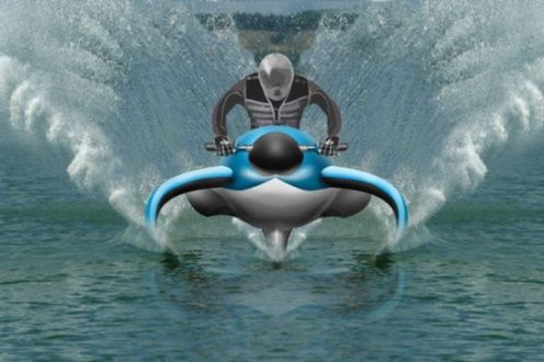 Dolphin Hydrofoil