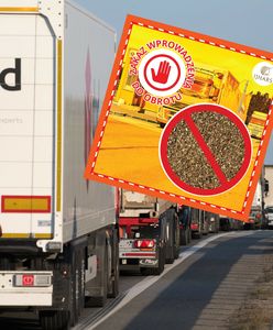 Przyprawy z Egiptu zatrzymane. Gigantyczna ilość z nieprawidłowościami