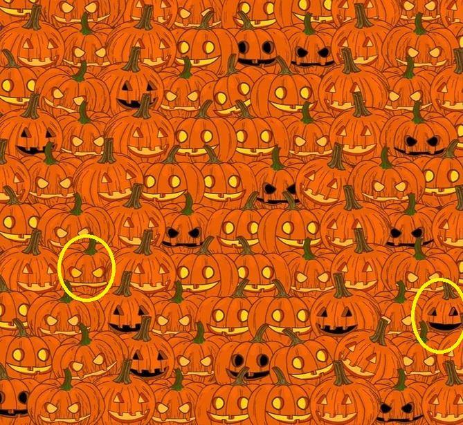 Solution to the pumpkin mystery.