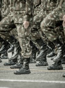 What does the draft law on voluntary military service entails. How much money will young people who want to join the army receive